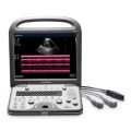 Animal Veterinary Ultrasound Color Doppler Laptop Veterinary Doppler